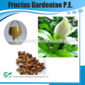 GMP Fabrik fructus gardeniae pe, gardenia extrakt, Gardenoside 10% -98%